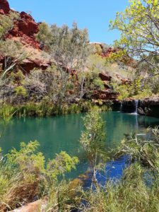 Fern Pool